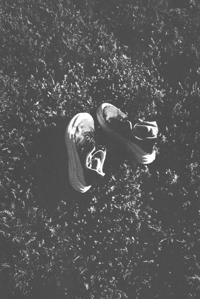 Chaussures de trail VALONE posées dans l’herbe